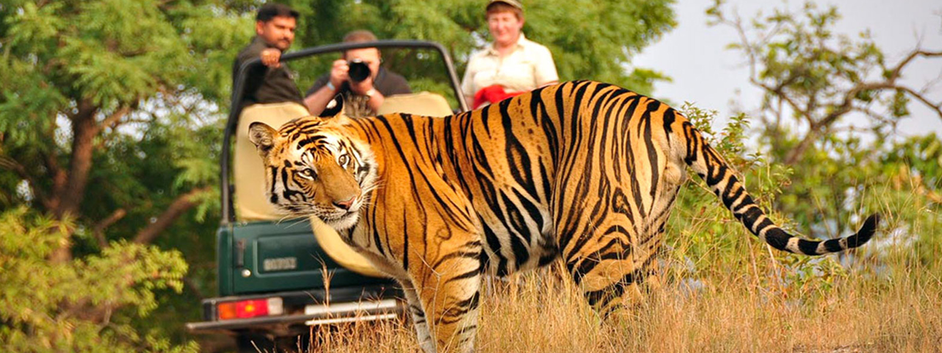 Manasvee Travels is one of <br>the Best “Travel Company”